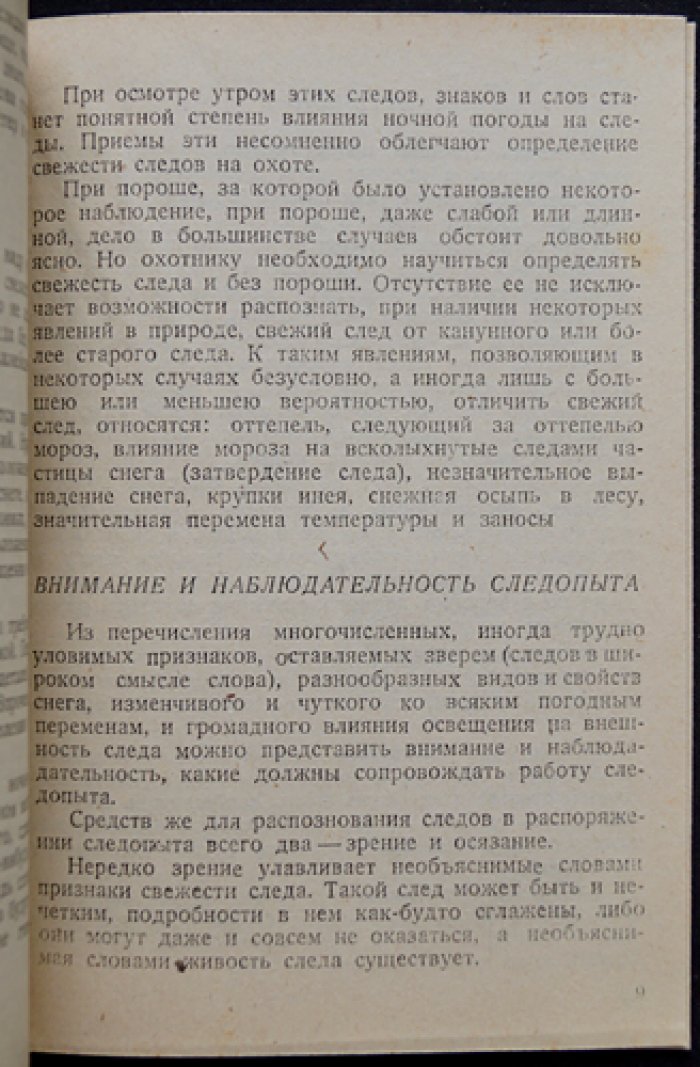 Как определить свежесть следа: практическое руководство охотника по распознаванию следов