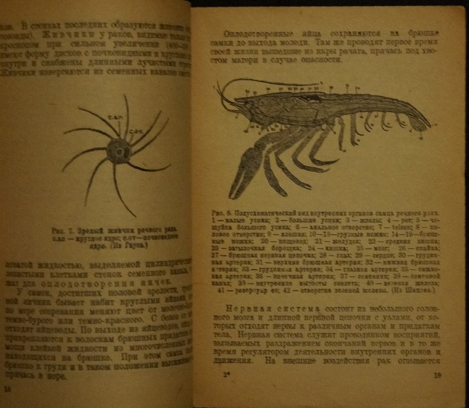 Охрана и разведение раков в озёрах и реках (практическое руководство)