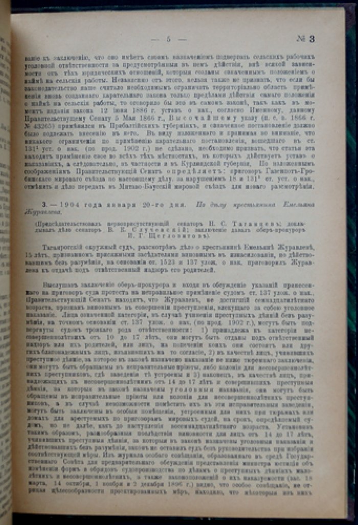 Решения уголовного кассационного департамента Правительствующего Сената. 1904 год (приложение к «Вестнику сенатской практики»)