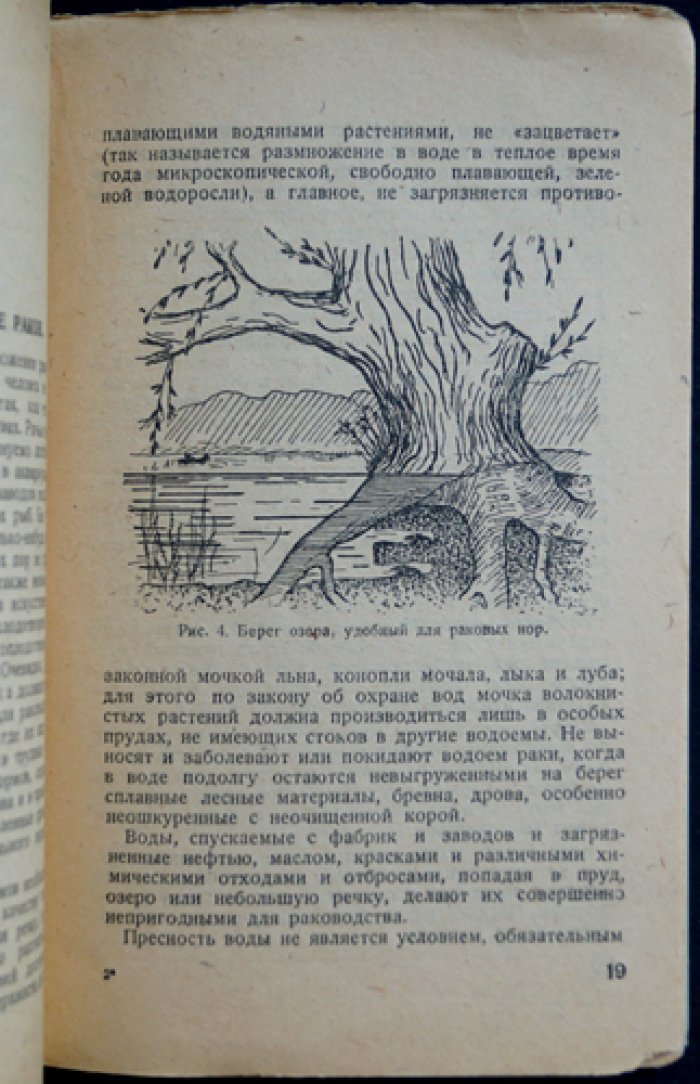 Рак: её жизнь, разведение и ловля (иллюстрированное издание)