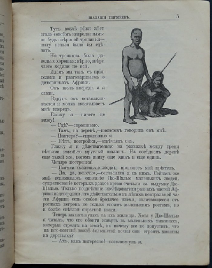 Чеглок А. Шалаши пигмеев (о теневой птице). Путевые рассказы и естествознание для детей