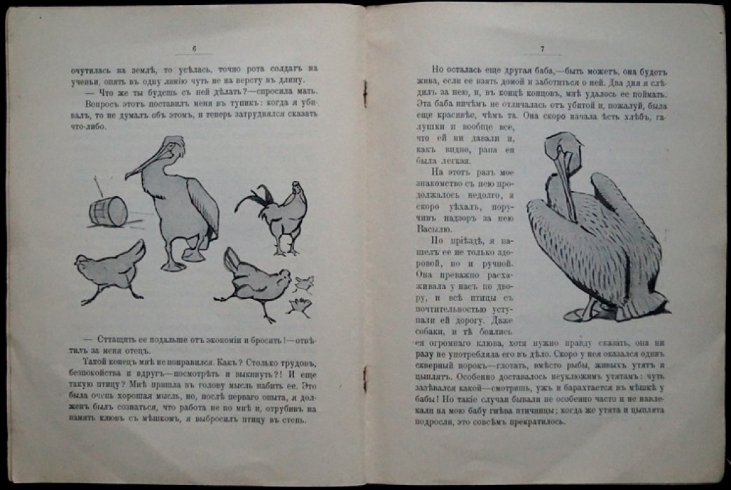 Чеглок А. Баба: рассказ из жизни пеликана (с иллюстрациями В. Ватагина)