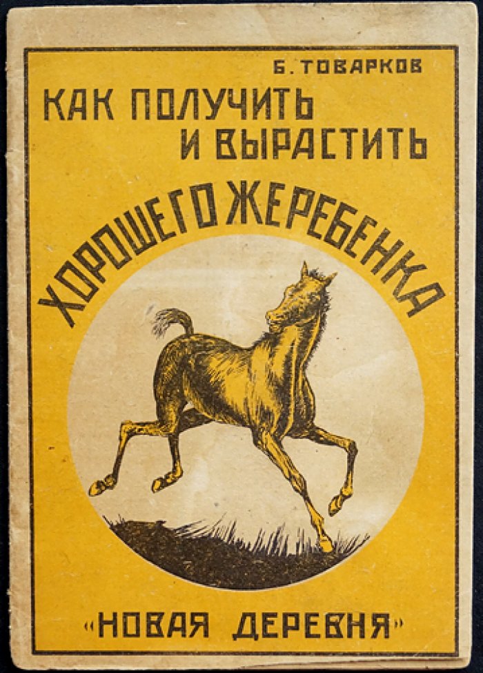 Как получить и вырастить хорошего жеребенка. Практическое руководство (2-е издание, 1926)