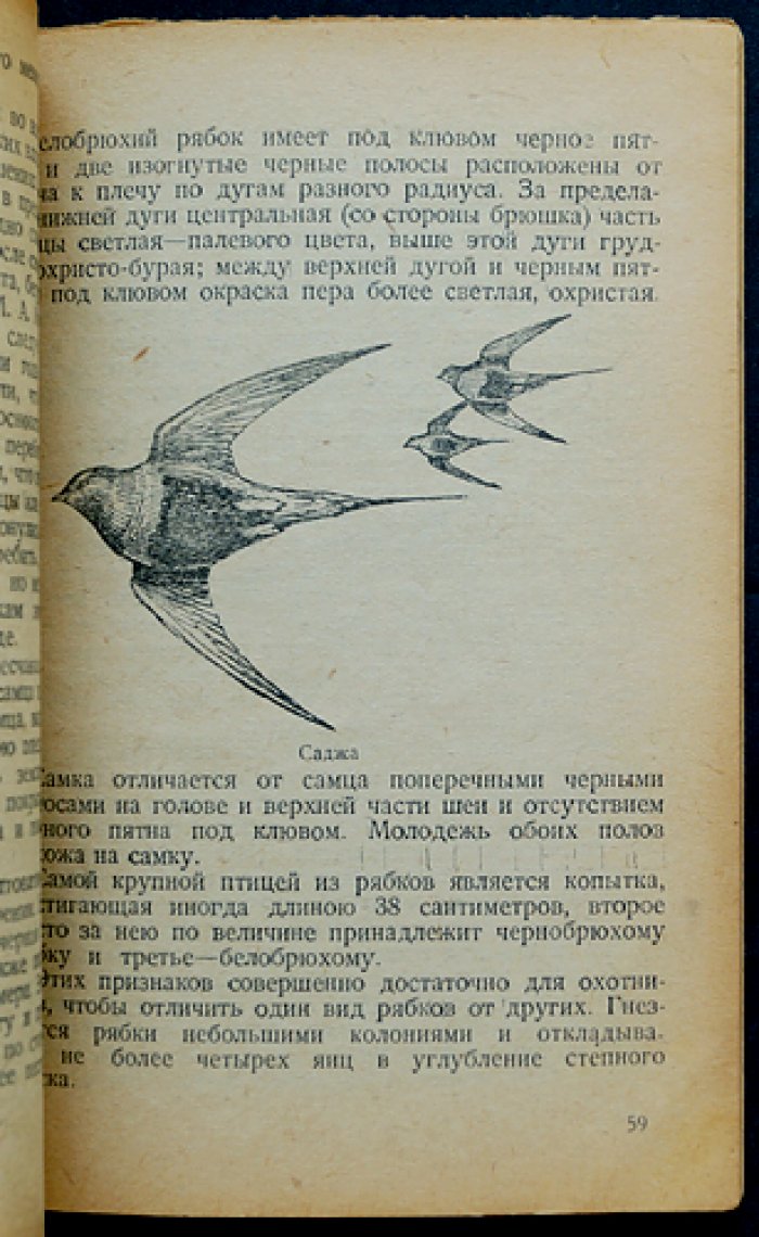 Охота на степную дичь. Практическое руководство