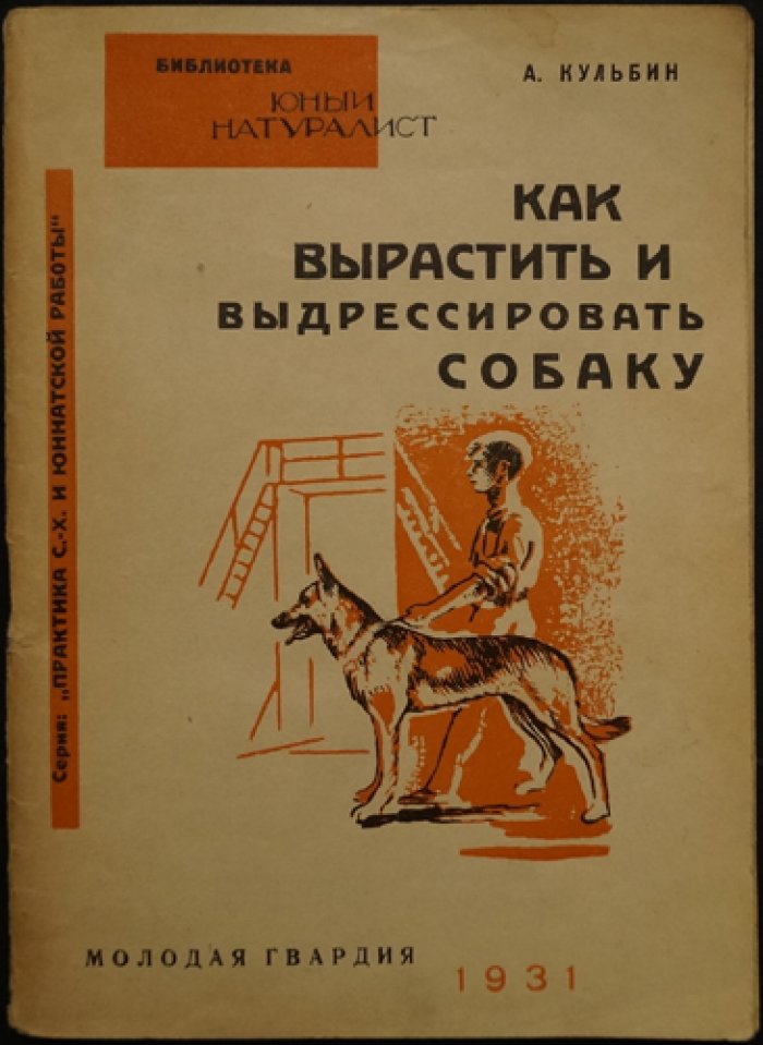 Как вырастить и выдрессировать собаку (практическое руководство для начинающих)