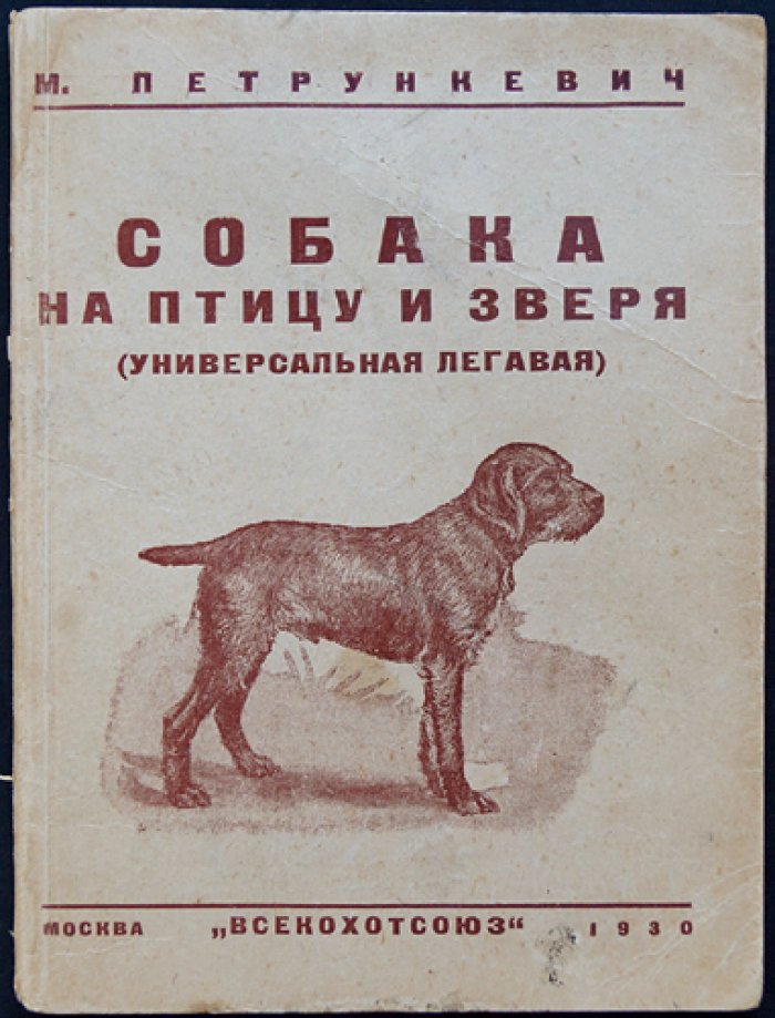 Собака на птицу и зверя (Универсальная легавая): руководство по охотничьей собаке