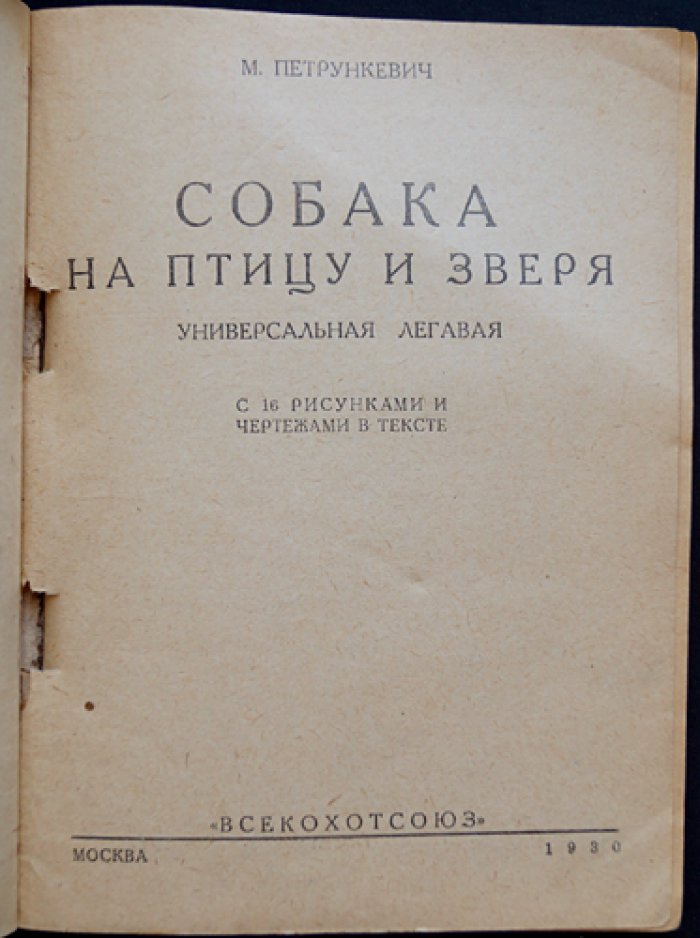 Собака на птицу и зверя (Универсальная легавая): руководство по охотничьей собаке