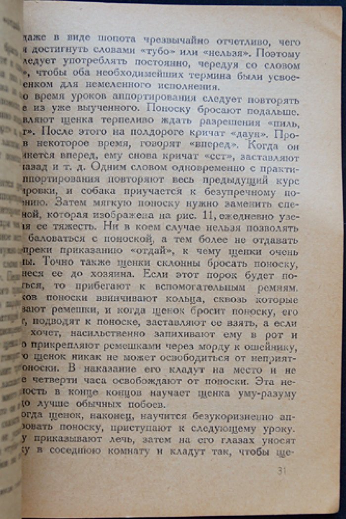 Собака на птицу и зверя (Универсальная легавая): руководство по охотничьей собаке