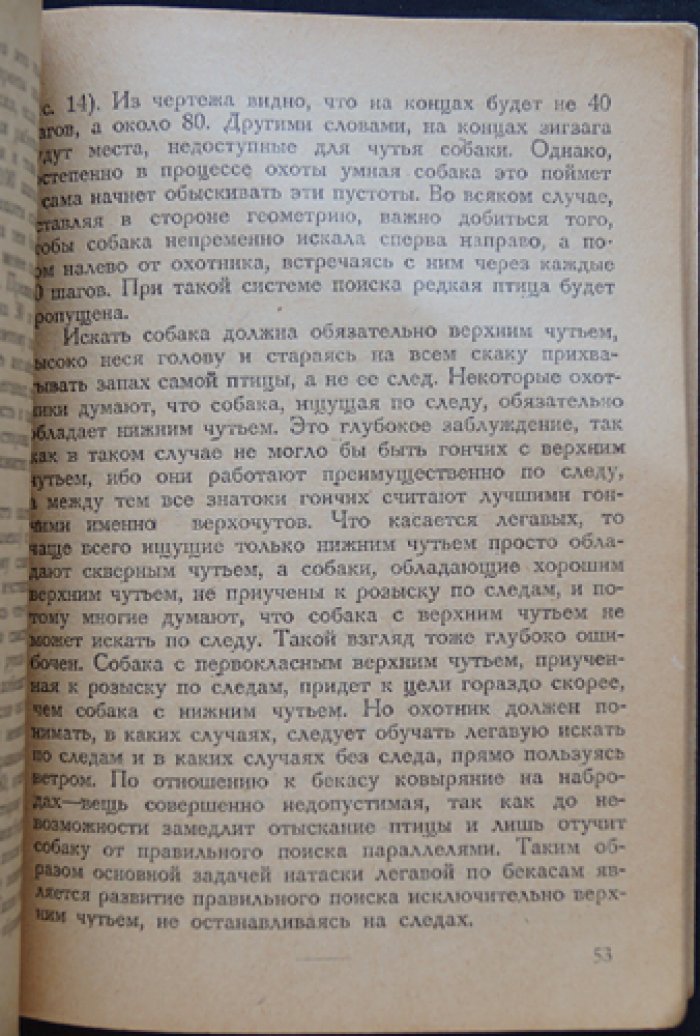 Собака на птицу и зверя (Универсальная легавая): руководство по охотничьей собаке