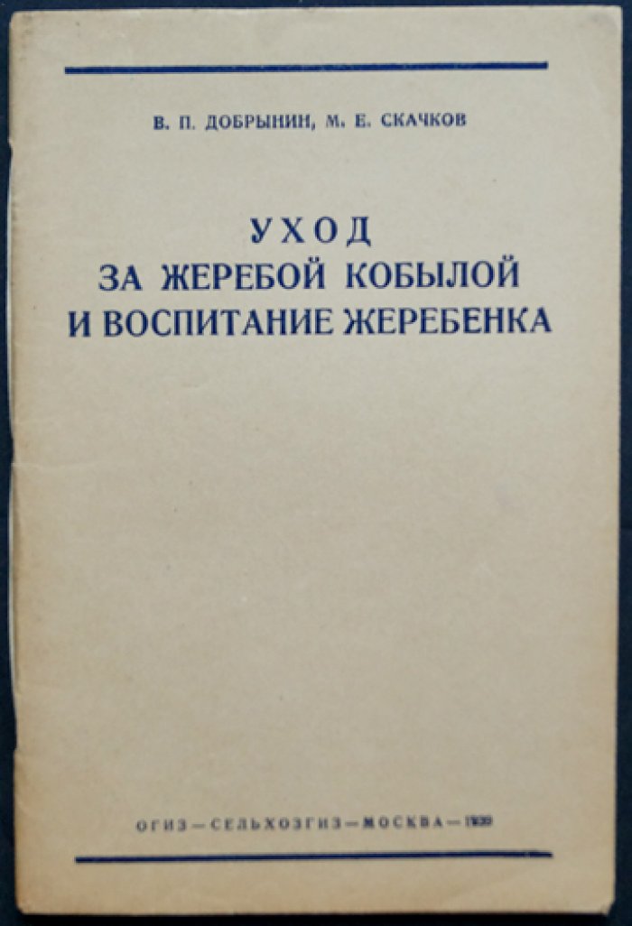Уход за жеребой кобылой и воспитание жеребёнка: кормление, содержание и тренинг молодняка