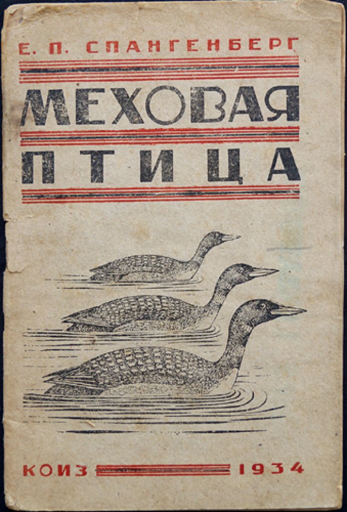 Меховая птица (орнитология). Гагаровые и чистиковые птицы, гусиные и утиные группы