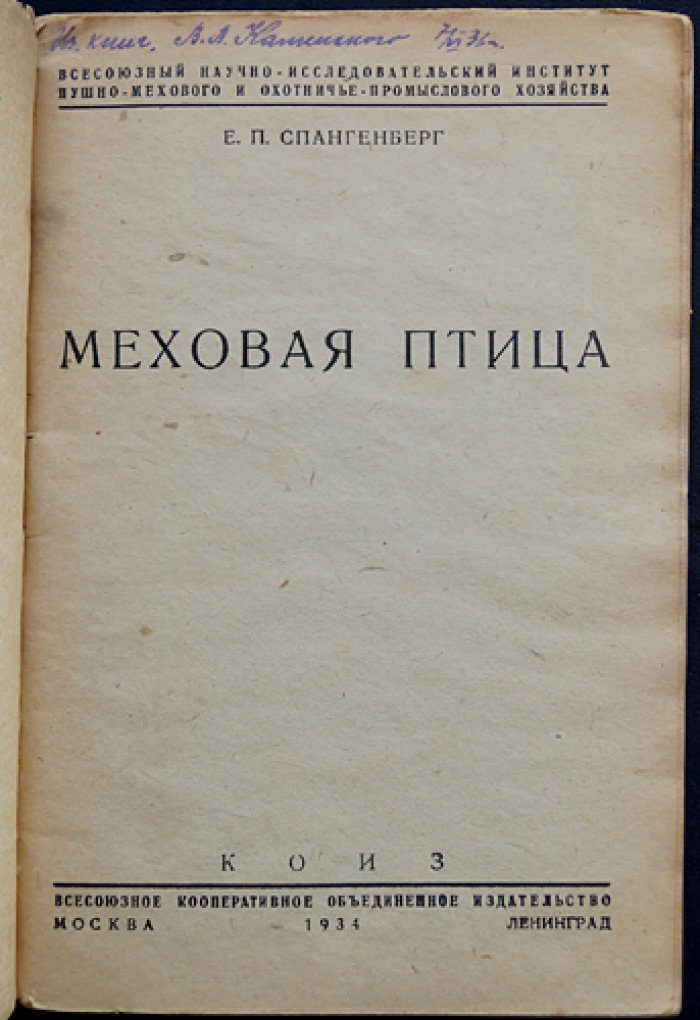 Меховая птица (орнитология). Гагаровые и чистиковые птицы, гусиные и утиные группы