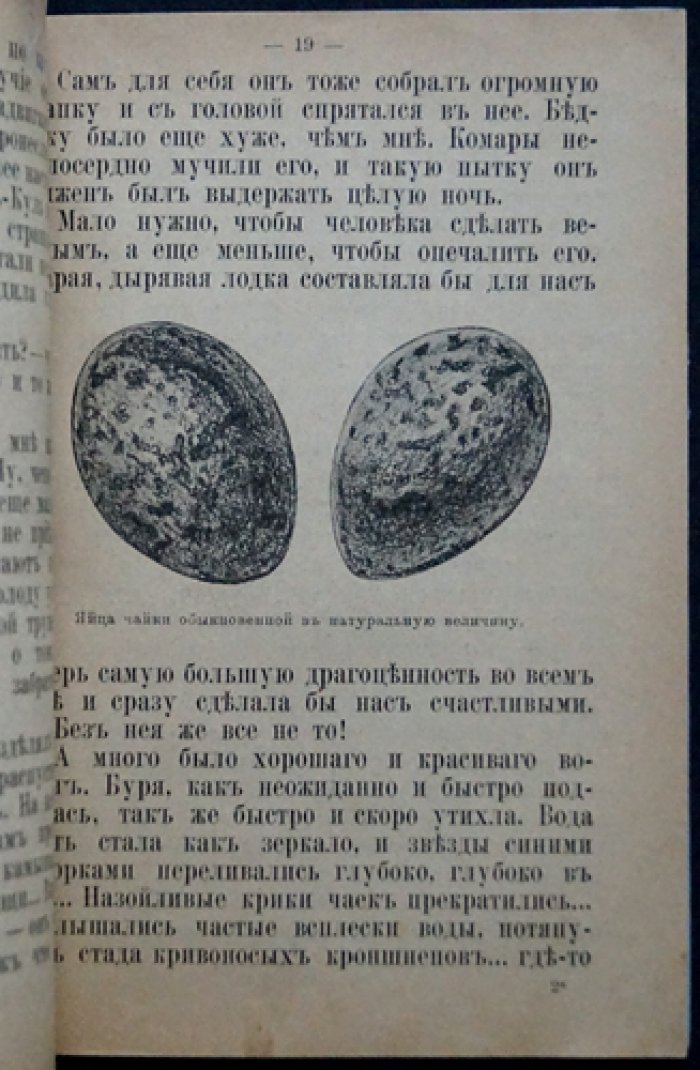 Чеглок А. Шунгак-Куль: красочное издание о природе и путешествиях (1906, Москва)