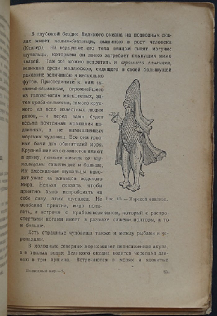 Подводный мир: популярная энциклопедия естествознания (выпуск №19)