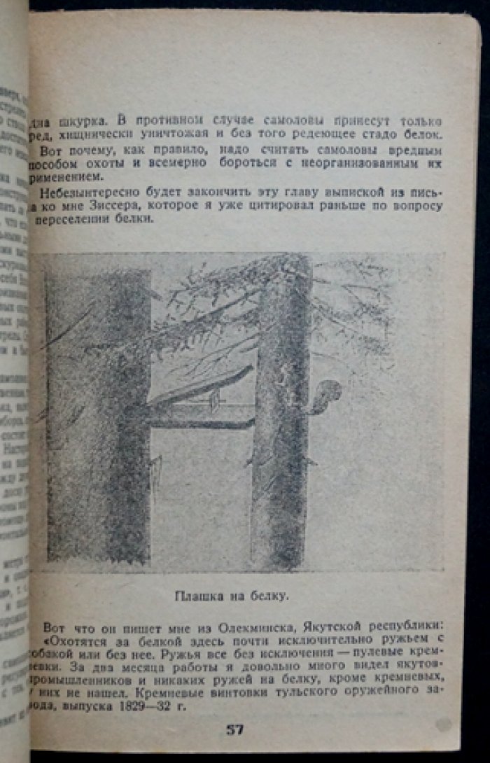 Белка и беличий промысел: охотничья монография (2-е изд.)