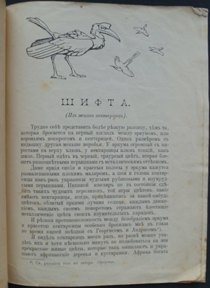 Чеглок (А. Шифта). Сборник произведений для юношества и размышлений об окружающем мире