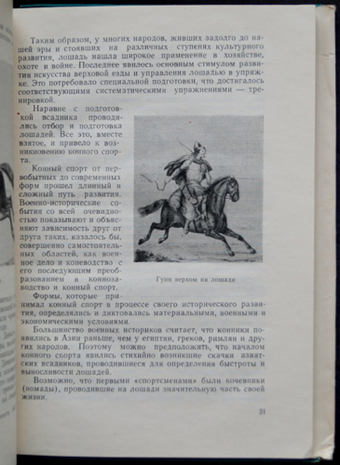 Возникновение и развитие конного спорта: очерк истории, школы верховой езды и эволюция дисциплин
