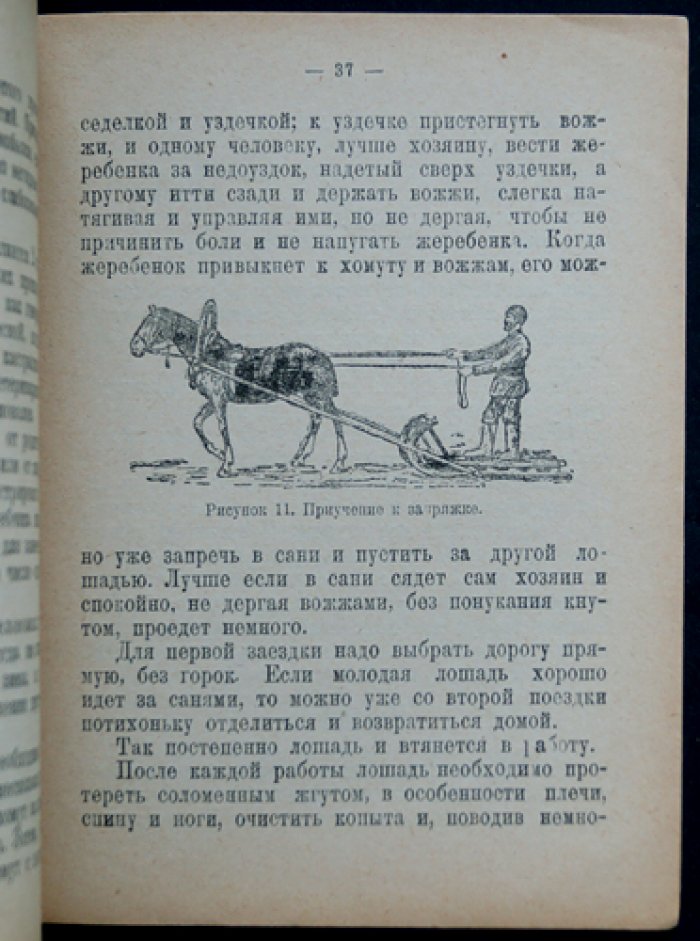 Как получить и вырастить хорошего жеребёнка: практическое руководство (издание 4-е)