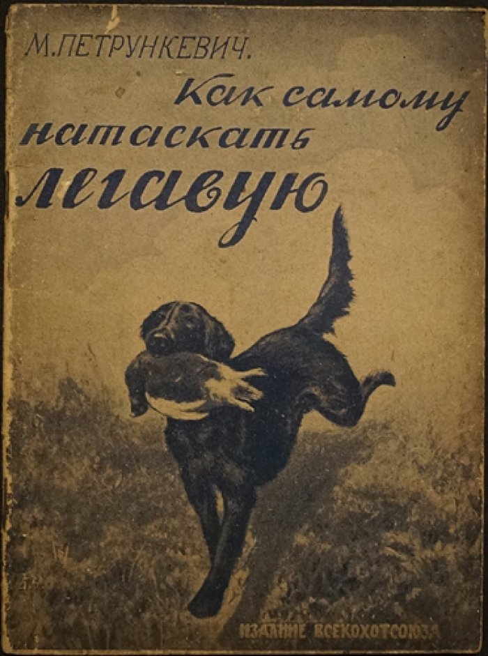 Как самостоятельно натаскать легавую: практическое руководство для начинающих охотников