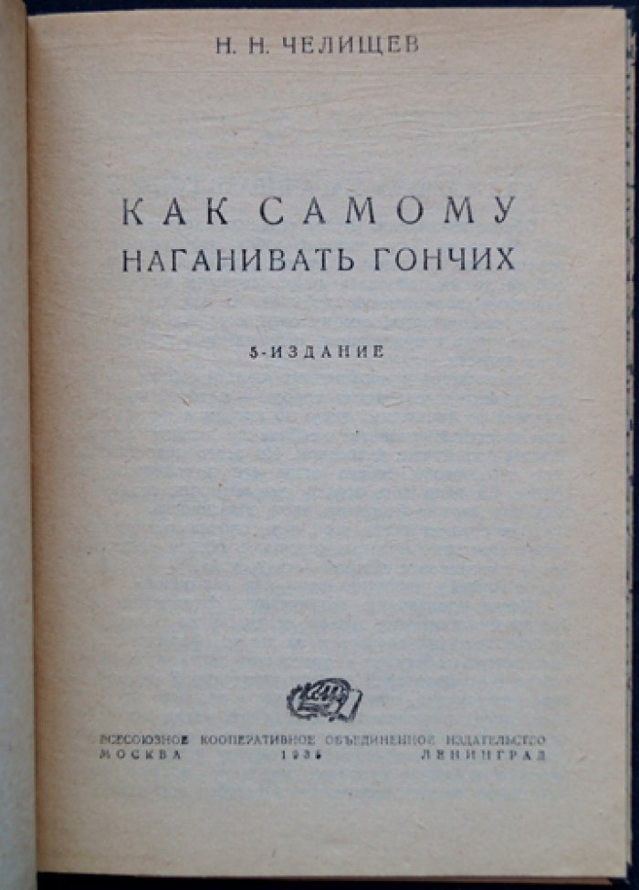 Как самому натаскивать (нагонять) гончих: практическое руководство для успешной охоты