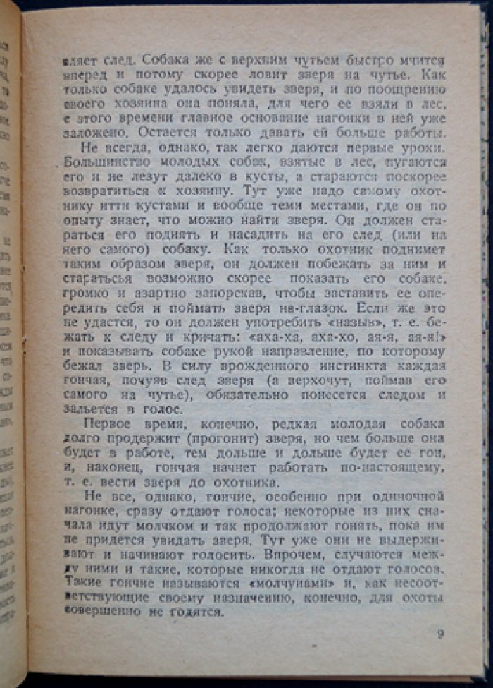Как самому натаскивать (нагонять) гончих: практическое руководство для успешной охоты