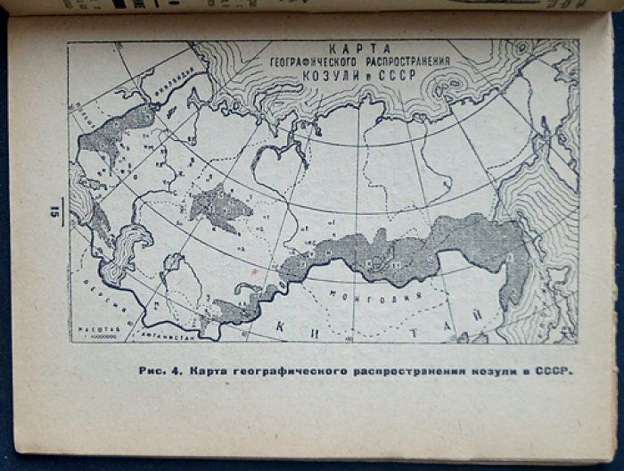 Козуля (промысловые животные СССР). Георгий Петрович Дементьев