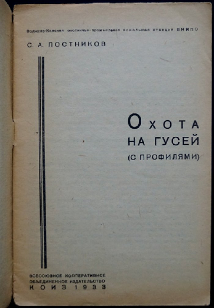 Охота на гусей на профиля (с «манным» гусем). Практическое руководство
