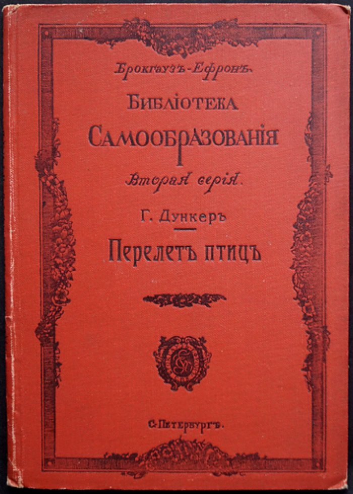 Перелёт птиц: причины и эволюция инстинкта миграции