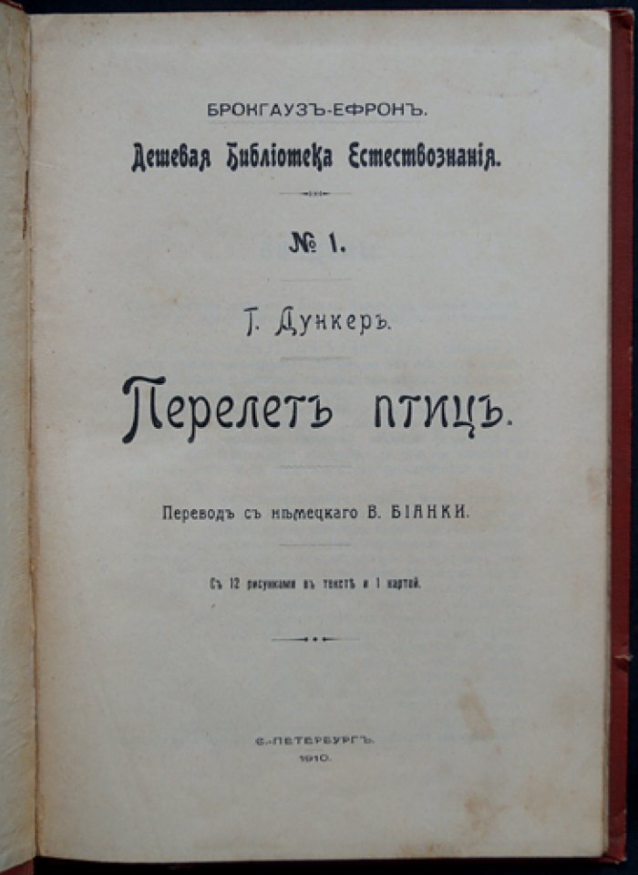 Перелёт птиц: причины и эволюция инстинкта миграции
