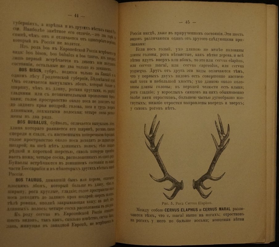 Практическое руководство к определению зверей Европейской России (1911)