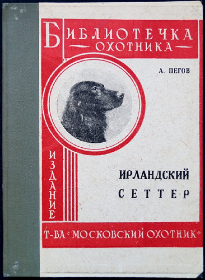 Ирландский сеттер: охотничьи качества, натаска и применение на русской охоте