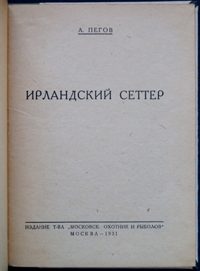 Ирландский сеттер: охотничьи качества, натаска и применение на русской охоте