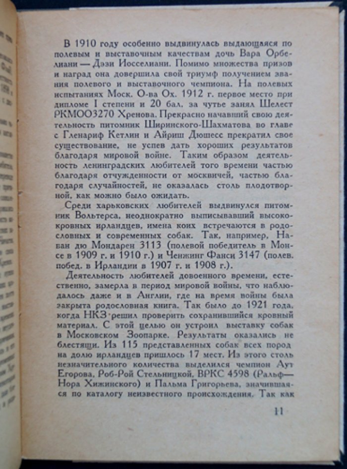 Ирландский сеттер: охотничьи качества, натаска и применение на русской охоте