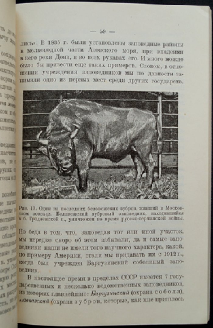Промысловые животные: охота, звероводство и охрана природы
