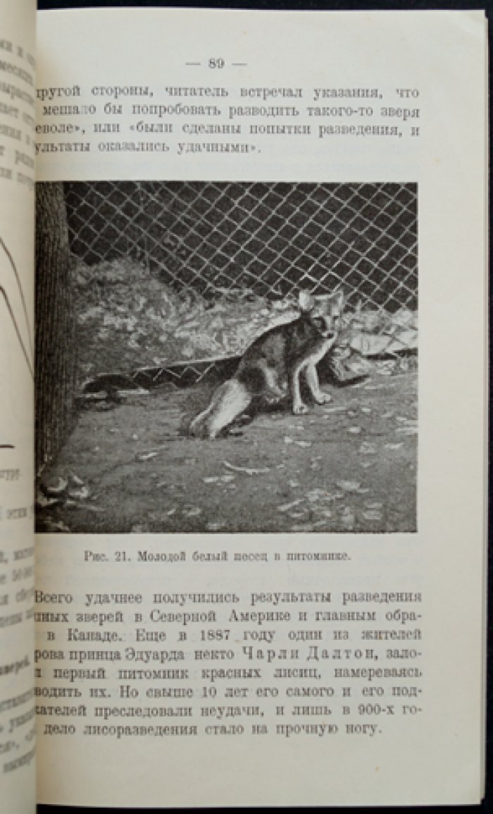 Промысловые животные: охота, звероводство и охрана природы