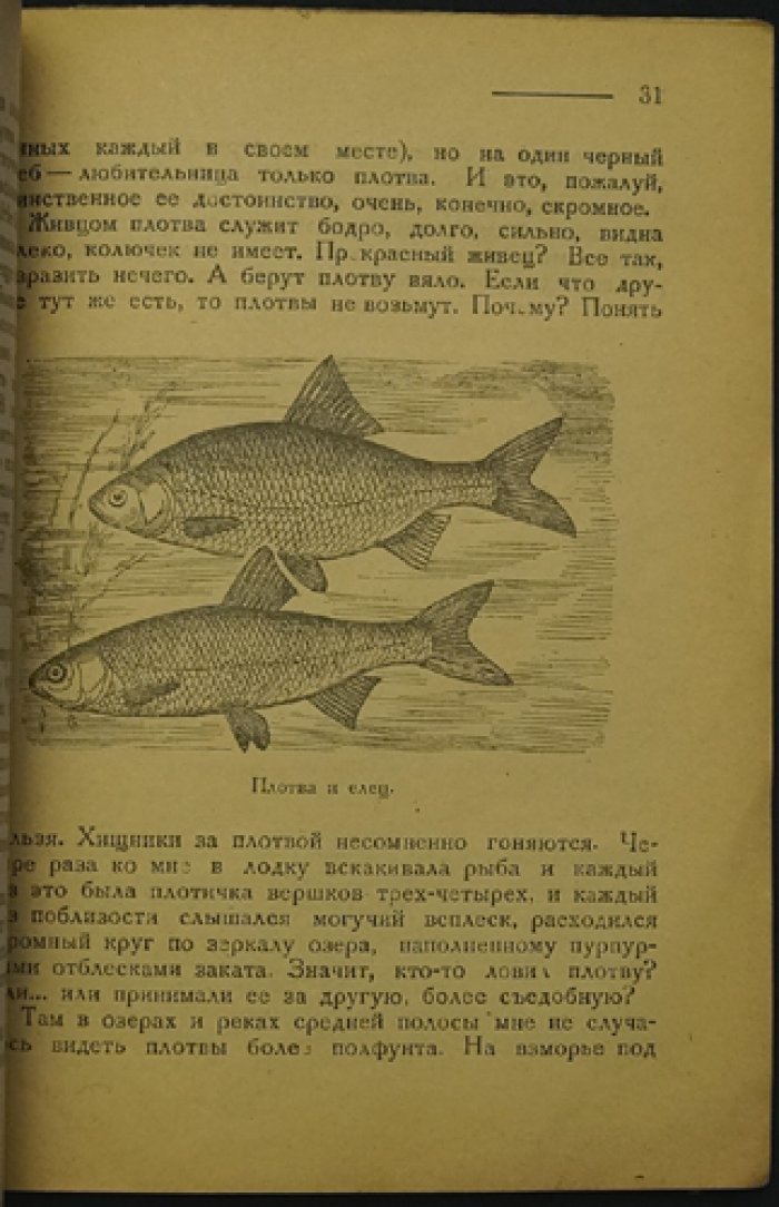 Лесник. Рыба и крючок: иллюстрированное издание (1928)