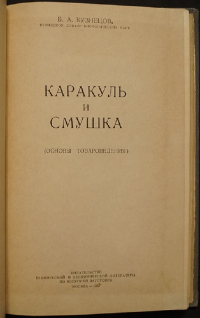 Каракуль и смушка: основы товароведения