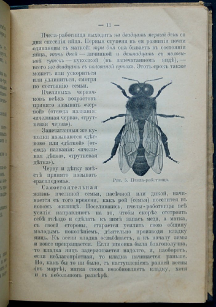 Про пчел, их жилища и уход за ними по правилам пчеловодной науки (10-е вновь исправленное издание)
