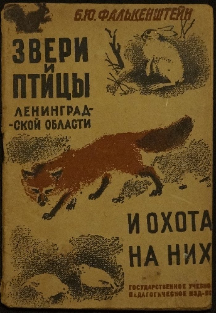 Промыслово-охотничьи звери и птицы Ленинградской области: охота на них