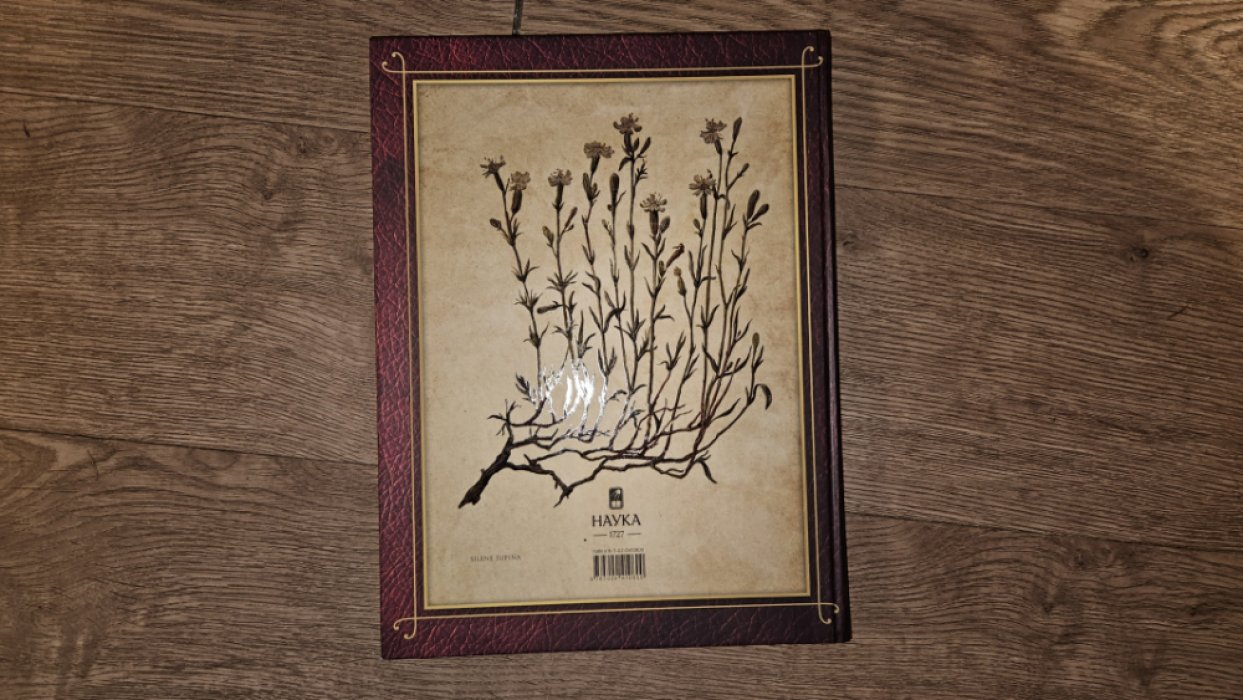 Centuria plantarum rariorum Russiae meridionalis Ф.К. Биберштейна глазами молодых исследователей «Сириуса» через 200 лет