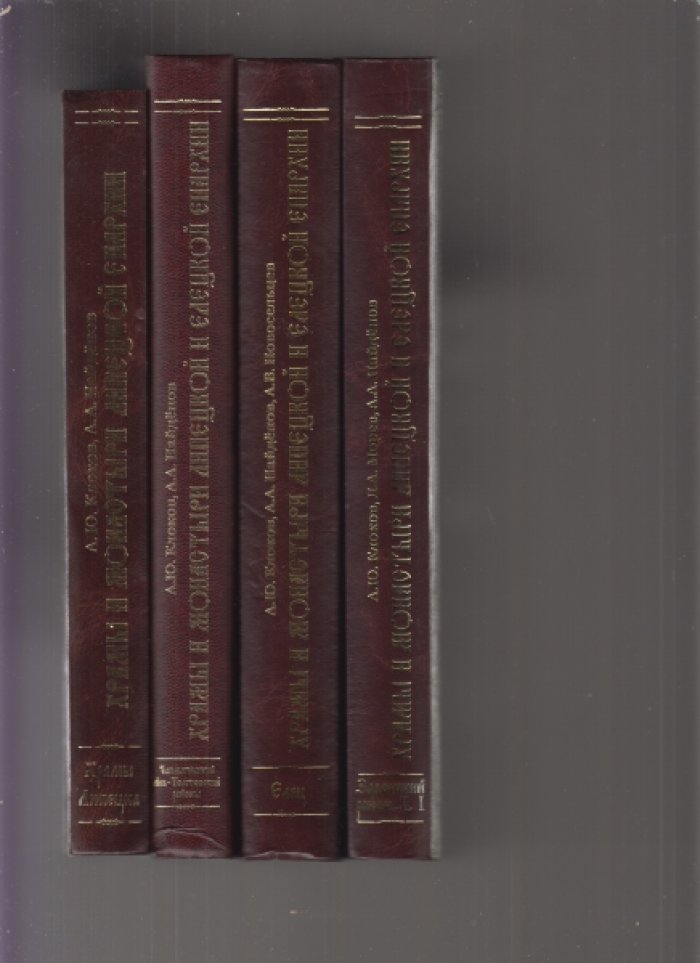 Клоков А.Ю., Найденов А.А., Новосельцев А.В. Храмы и монастыри Липецкой и Елецкой епархии. 3 тома.