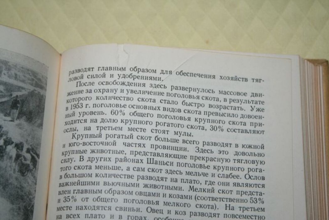 Северный Китай. Экономическая география.