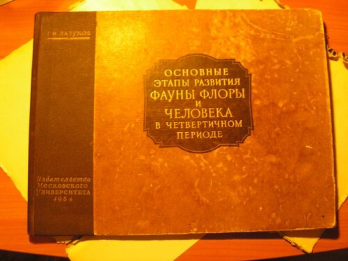 Лазуков Г. Основные этапы развития фауны флоры и человека в четвертичном периоде.