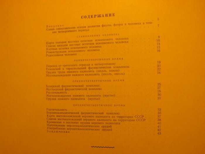 Лазуков Г. Основные этапы развития фауны флоры и человека в четвертичном периоде.