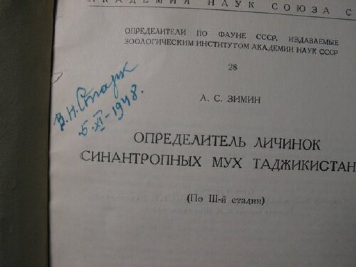 Зимин Л.С. Определитель личинок синантропных мух Таджикистана (по 3-ей стадии).