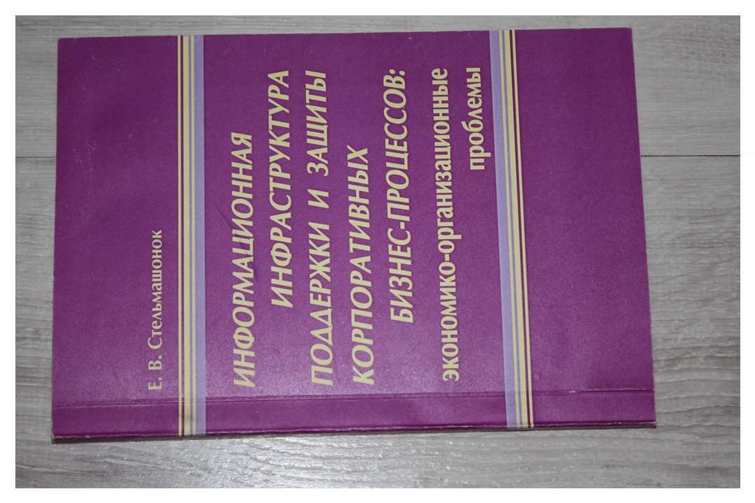 Стельмашонок Е.В. Информационная инфраструктура поддержки и защиты корпоративных бизнес-процессов:.