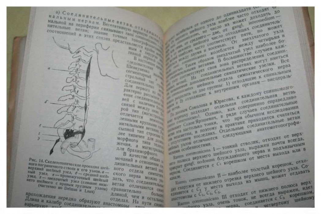 Бондарчук А.В. Каузалгия и ее хирургическое лечение.