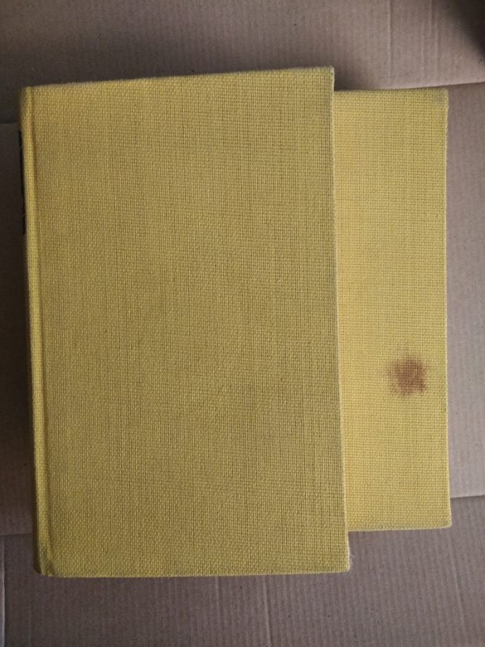 Van Gogh. Als Mensch unter Menschen. Vincent van Gogh in seinen Briefen an den Bruder Theo
