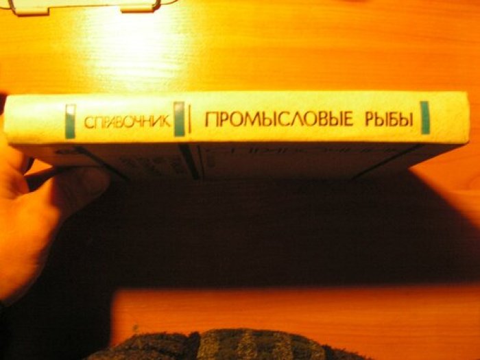 Саускан В. Промысловые рыбы Атлантического океана.