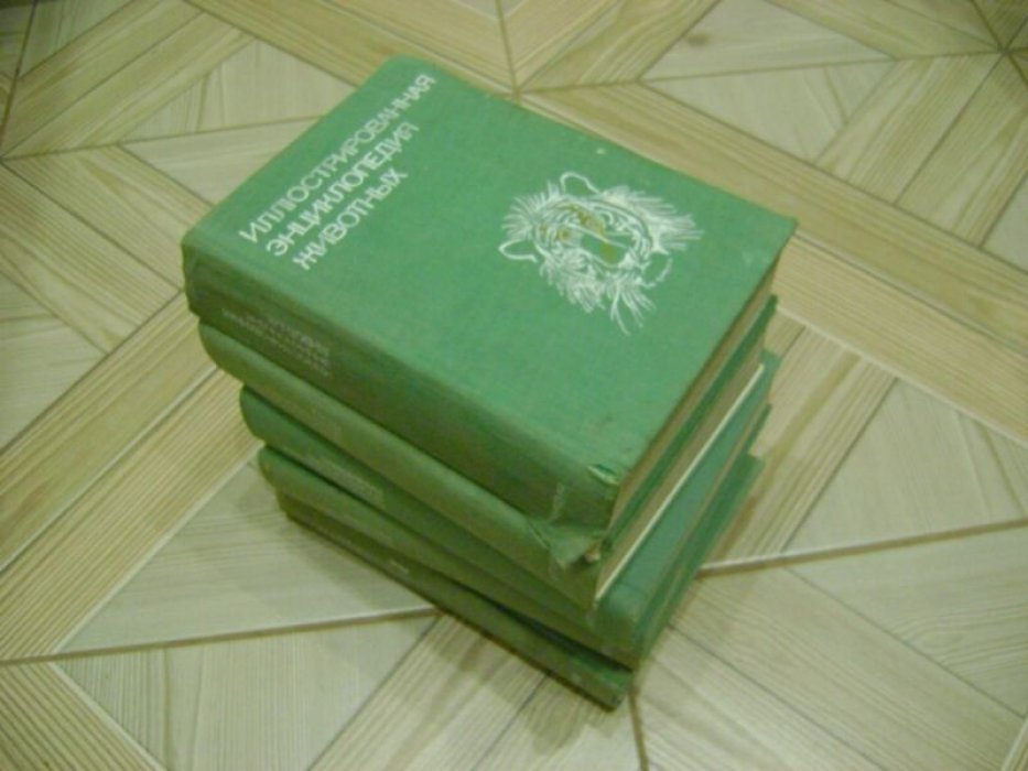 Иллюстрированная энциклопедия.